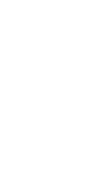 美味しいお肉は