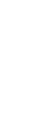 美味しいお肉は