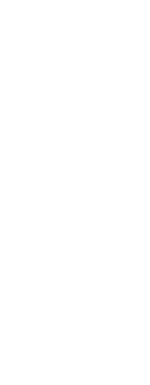 3種のフィレ肉
